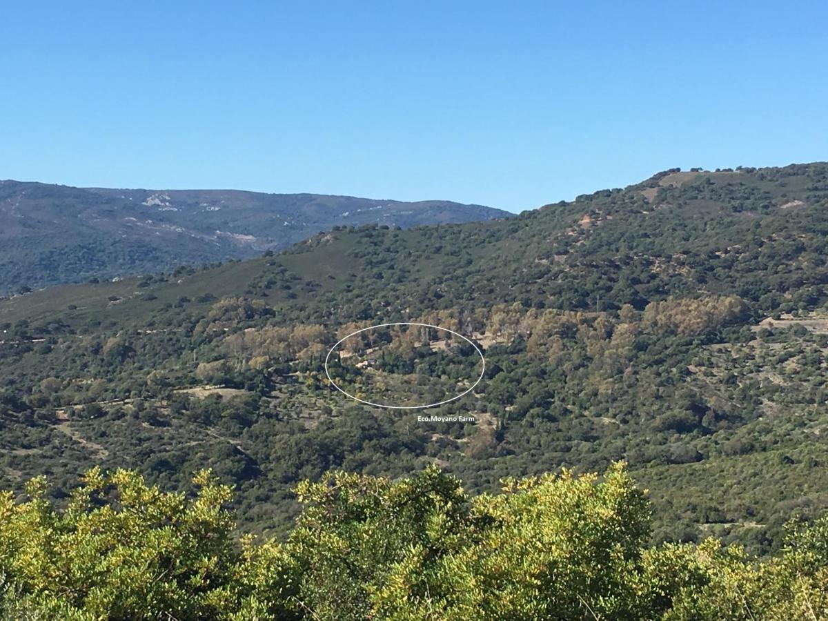 Eco Moyano Lodge Gaucin
