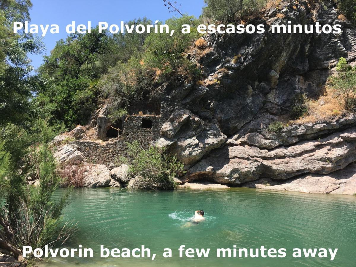 Eco Moyano Gaucin