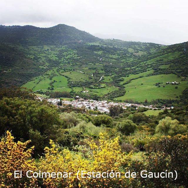 Eco Moyano Lodge Gaucin
